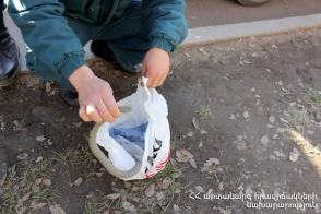 Տան տանիքում նկատվել է օձ